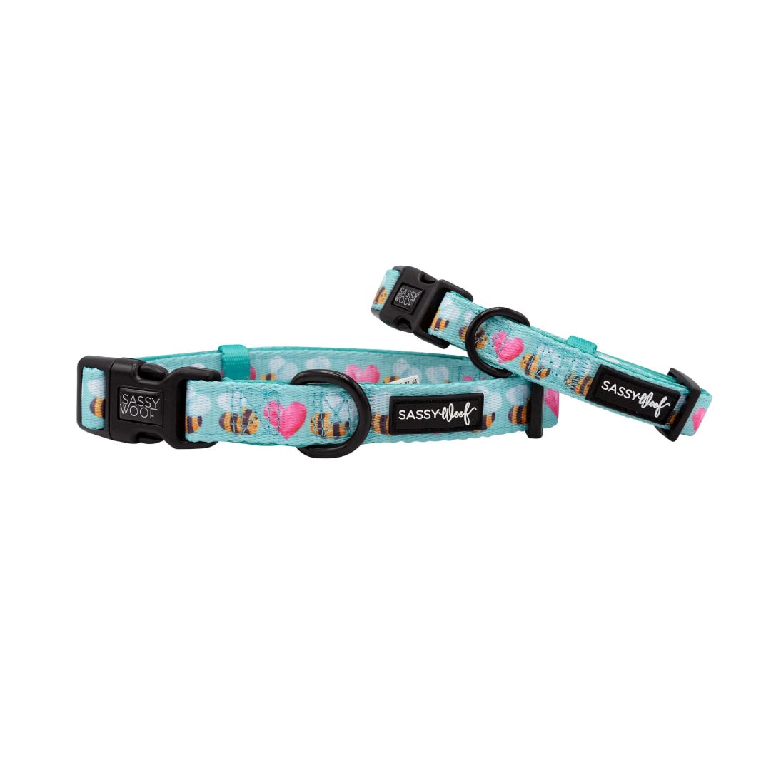 Woof dog deals collar